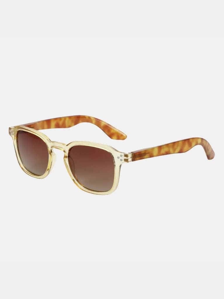 Lumen Virtus Glasses