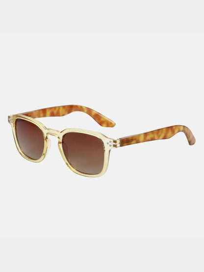 Lumen Virtus Glasses